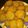 El cooksnap de Horacio Fernandez cuando hizo Galletitas integrales de naranja, canela y miel.
