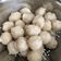 Cooksnap dari Gita Dian Sari untuk resep Bakso Kojek (Pentol Ayam)