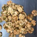 Cooksnap Sesimple Loralin semasa beliau membuat Biskut florenta.