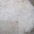 Farhana Talib's cooksnap of when they made Bhagary Rice.