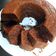 Cooksnap dari Then Nyuk Lin untuk resep Caramel Cake / bolu sarang semut
