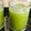 লীলা কর's cooksnap of when they made আঙ্গুরের জ্যুস (angurer juice recipe in Bengali).