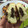 El cooksnap de Rocio MT cuando hizo Doowaps o Weikis caseros.