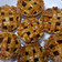Cooksnap dari wulan mayliana untuk resep Classic Apple Pie Super Yummy & Crunchy❤
