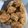 Cooksnap dari bumbum untuk resep Bakso Goreng Ayam
