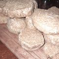 El cooksnap de Jazmín AR. cuando hizo Bollitos  de harina integral para preparar en horno eléctrico.