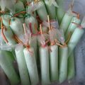 Cooksnap dari yustiana untuk resep Es lilin rainbow