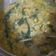Cooksnap dari Astari Christ untuk resep Bubur manado