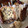 El cooksnap de Sil Sera cuando hizo Pan dulce extra fácil, súper express.