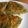 El cooksnap de Julieta Luján cuando hizo Tortilla de zanahoria con vegetales.