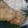 El cooksnap de Alberto cuando hizo TORTITAS DE ZANAHORIA C/ CALABAZA y CAMARÓN.