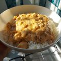 T. K.'s cooksnap of when they made Brazilian Chicken stroganoff - fitness.