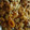El cooksnap de Raul Cervasio cuando hizo Guiso de fideos codito con Carne.