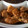 Cooksnap dari 💜Lianawati💜 untuk resep Ayam kecap tahu