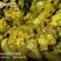 kavita goel का कुकस्नैप जब उन्होंने लंच (Lunch recipe in hindi) बनाया था।