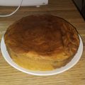 Cooksnap dari ayuraditha untuk resep Marmer Cake Siu Erl (Butter Cake)