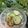 Cooksnap dari SaBa's Kitchen untuk resep Rujak Kuah Pindang Spesial