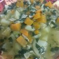 El cooksnap de Eileen Abadeer cuando hizo Sopa de verduras.