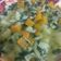 El cooksnap de Eileen Abadeer cuando hizo Sopa de verduras.