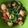 Cooksnap dari riadm untuk resep Kangkung tempe Tiram