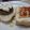 rlfors3's cooksnap of when they made cheese stuffed hamburgers.