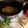 Eric Sand's cooksnap of when they made Mexican Style Crockpot Carnitas.
