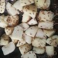 Rekha Vora's cooksnap of when they made વ્હાઈટ ઢોકળા (White Dhokla Recipe In Gujarati).