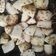 Rekha Vora's cooksnap of when they made વ્હાઈટ ઢોકળા (White Dhokla Recipe In Gujarati).