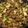 Allissa Buller's cooksnap of when they made Beef with broccoli.