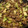 Allissa Buller's cooksnap of when they made Beef with broccoli.