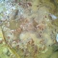 Cooksnap dari Nhana Isna untuk resep Soto ayam Lamongan