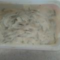 Cooksnap από Χρύσα στη συνταγή Αγγουρομαγιονέζα