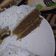 Cooksnap dari hani handriani untuk resep Bolu susu lembang