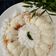 Cooksnap dari Novi Herawati untuk resep Kue Dongkal