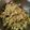 Manjula Sivakumar's cooksnap of when they made வாழைத்தண்டு பொரியல் (plantain pith poriyal).