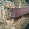 Cooksnap dari Vija Siregar untuk resep Bumbu gado-gado