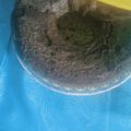 Cooksnap dari Sella Sella untuk resep Bolu ketan hitam panggang