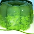 Cooksnap dari Ike Yukowati untuk resep Puding lumut pandan 🍃