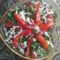 Beenal Sodha's cooksnap of when they made સલાડ (Salad Recipe In Gujarati).
