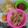 Cooksnap dari Octa Chelsea untuk resep Crispy Chicken Steak ala Warung Steak