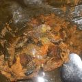 Cooksnap dari Mama Jehan untuk resep Pepes Ikan Nila