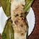 Cooksnap dari Andy Kristantio untuk resep Nasi bakar ayam suwir