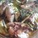 Cooksnap dari nurul novianti untuk resep Classic Roasted Rosemary Chicken - Ayam Panggang Oven Mudah