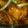 Cooksnap dari Chef lidia untuk resep Chiken teriyaki