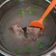 Cooksnap dari stella karunia untuk resep Kaldu Sapi MPASI Homemade