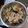 Cooksnap dari Evie Ye untuk resep Chicken yakiniku