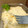 Cooksnap dari Wilda Wily untuk resep Baked Mashed Potato