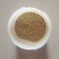 Bina Talati's cooksnap of when they made વરીયાળી નું ઇન્સ્ટન્ટ શરબત (Variyali Instant Sharbat Recipe In Gujarati).