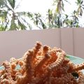 Cooksnap dari Ana Ruliyana untuk resep Akar kelapa resep emak
