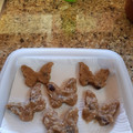 El cooksnap de Vivi AN cuando hizo Galletas tropicales sin gluten, sin huevo, sin lactosa.